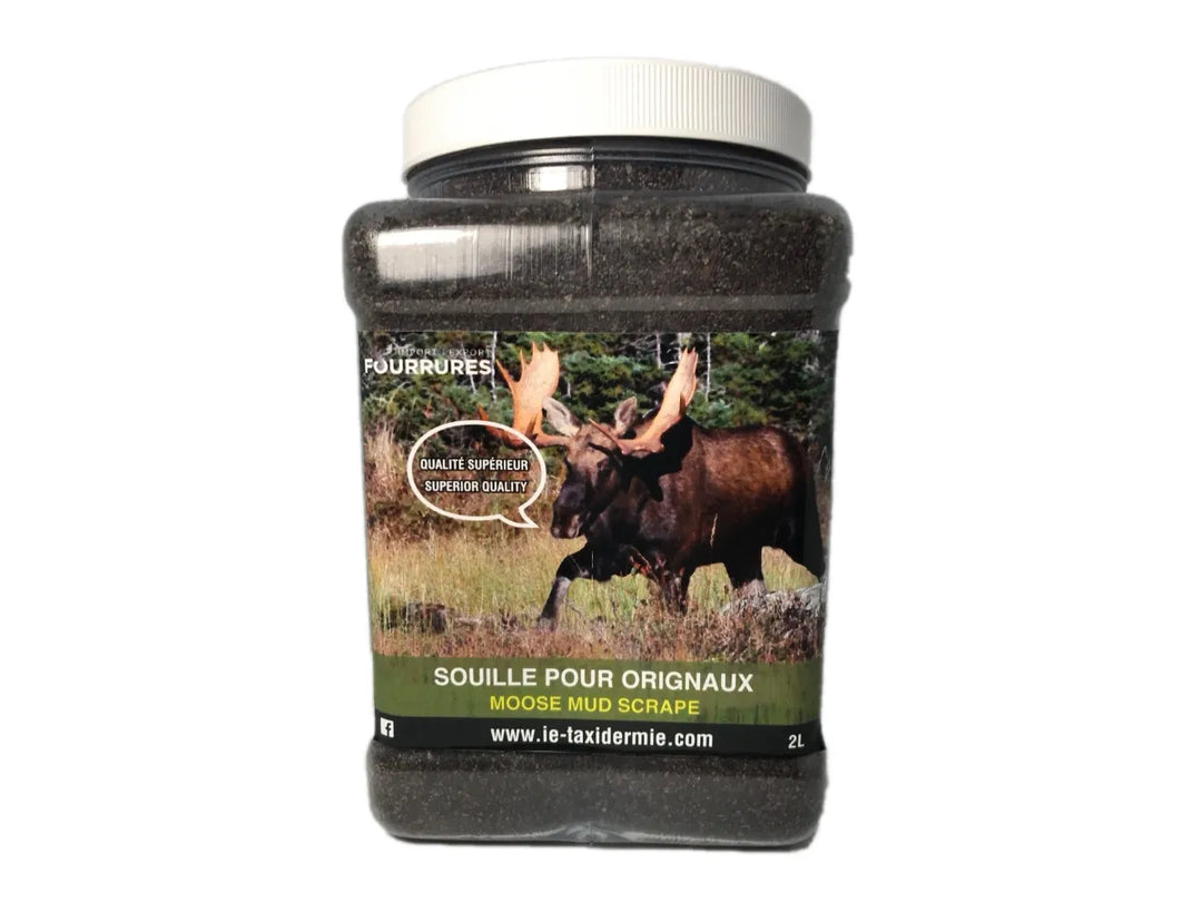 Souille d'orignal