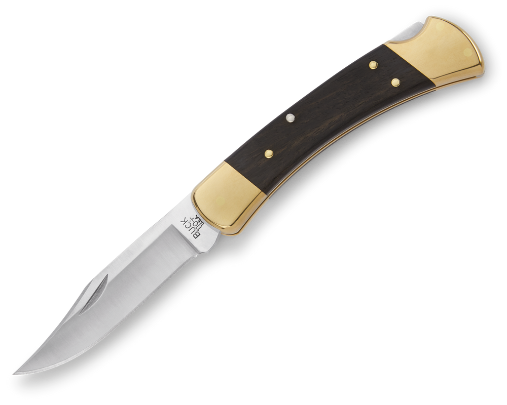Buck 110 Folding Hunter® Couteau