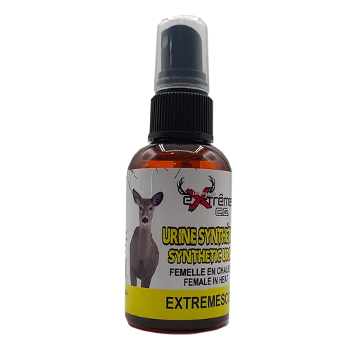 Extrêmes CG urine synthétique femelle en chaleur