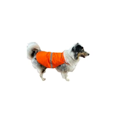 Dossard pour chien