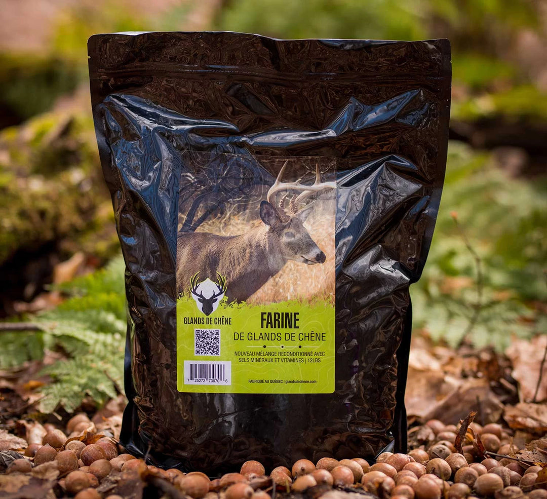 Farine de Glands de chêne