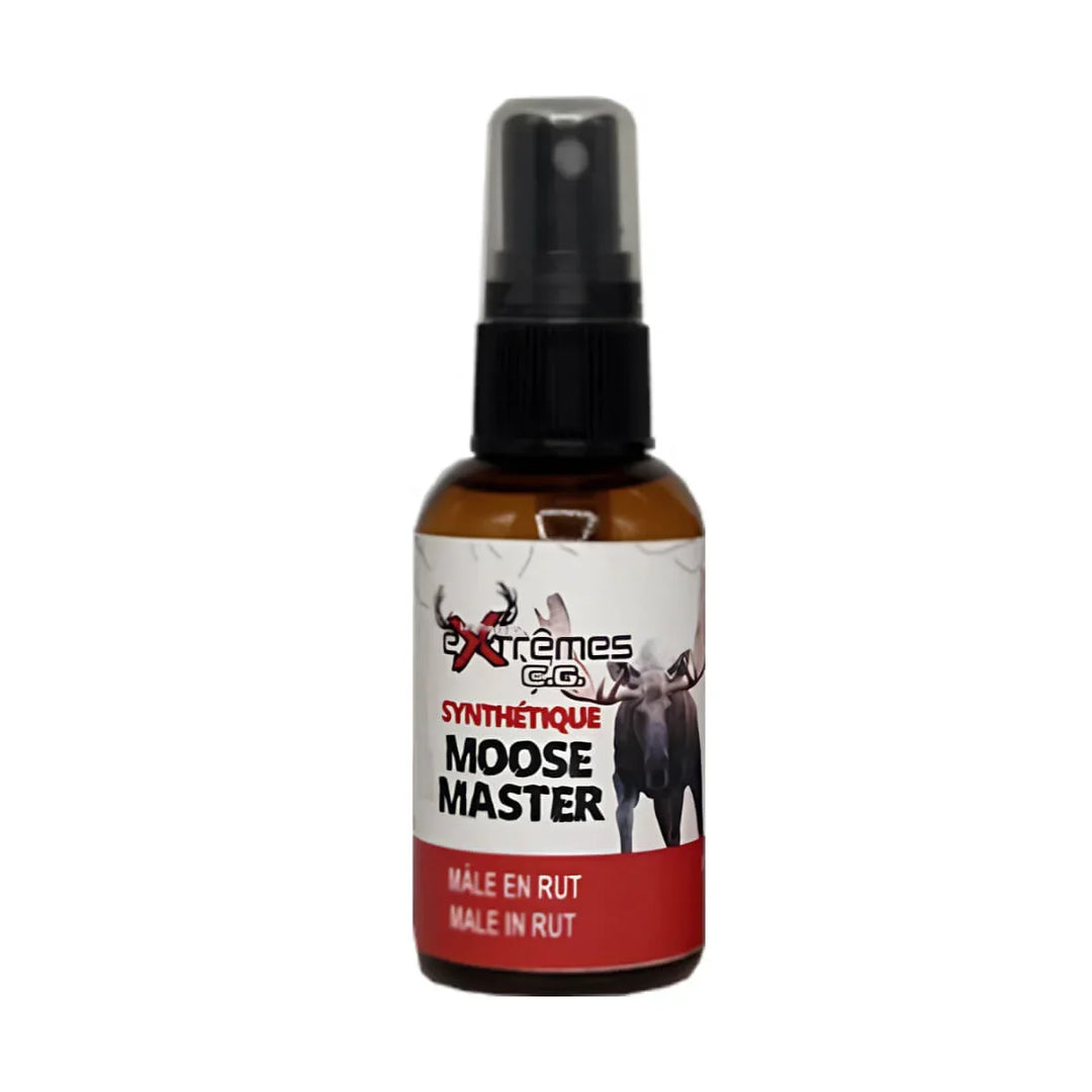 Extrême CG moose master mâle en rut
