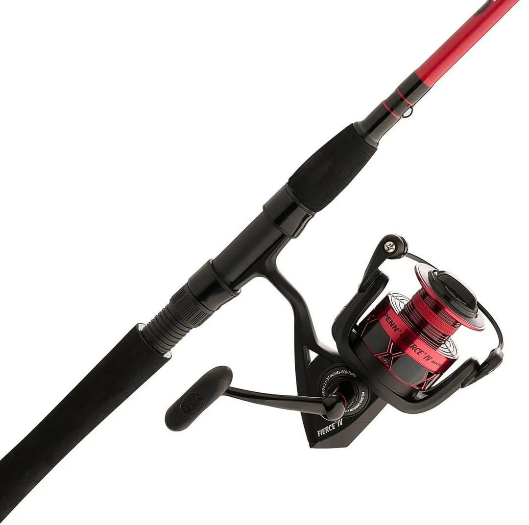 Ensemble de canne et moulinet à lancer léger Fierce IV - 2 pc